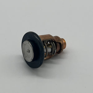 Thermostaten